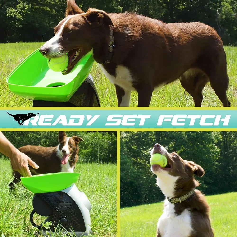 Pet Supply Ready Set Fetch Automatic Tennis Ball Launcher - Authentic Thrower - Interactive Dog Toy, Green/Black