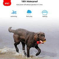 Waterproof IP67 Electric Dog Training Collar Rechargeable Pet Anti Bark Control Collar 1000ft Remote Range For Dogs Training Dog