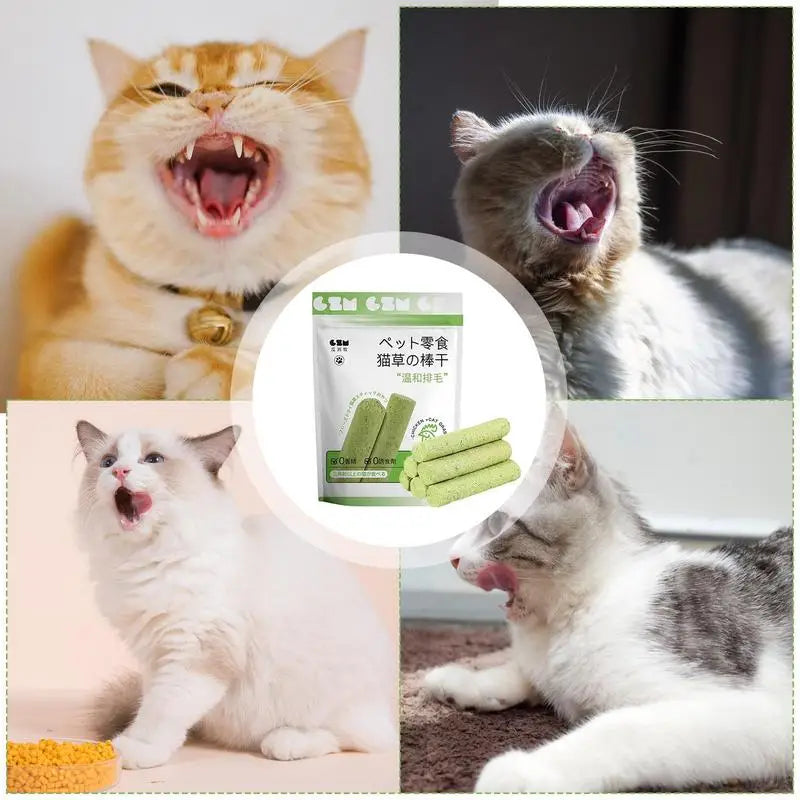 Cat Grass Stick Cat Grass Chewing Stick Natural Teeth Cleaner Removal Row Kitten Pet Snacks Teeth Caring for Kitten Mouth Health