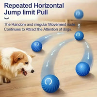 Intelligent Jumping Ball, Electric Charging Cat And Dog Toy, Self-rolling Pet Dog Toy Ball,  Pet Grinding Teeth Toy