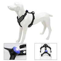 Truelove Pet Dog Led Light Lamp Tag Led Dog Collar Light Pendant Glow Night Safety Led Dogs Flashlight For Collar Harness Leash