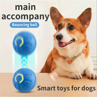 New Gravity Intelligent Jumping Ball Electric Charging Cat and Dog Toy Self Hi Pet Dog Toy Ball