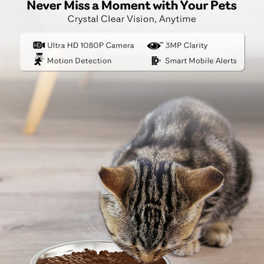 2L-4L 5G Net Automatic Cat Feeder – Smart Pet Feeder for Cats & Dogs, Food Dispenser with Camera Recorder, Timing Video Feeding Bowl