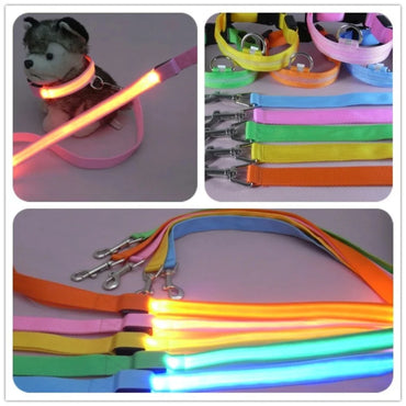 LED Light  Dog Leash Luminous Rope Lead Leash  Dog Safety Flashing Glowing Dog Collar Harness Electronic Pet Accessories Cat tag