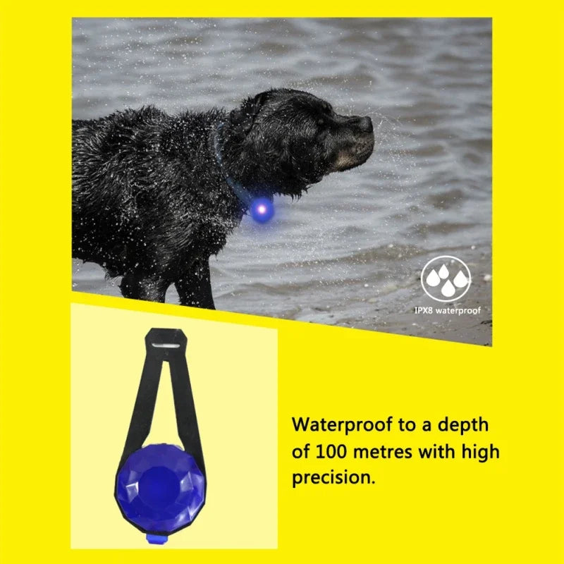 LED Dogs Collar Glow in The Dark Dogs Collar Harness Pendant Waterproof Safety Night Walking Lights