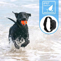 Electric Dog Training Collar Remote Control Shock Vibration Sound Anti-Bark Collar Waterproof Anti Barking Pet Dogs Supplies