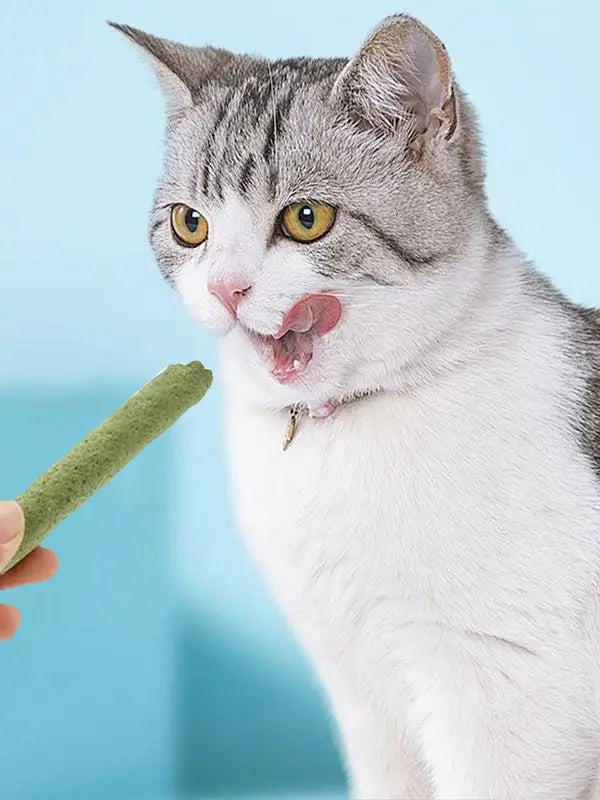 Cat Grass Stick Cat Grass Chewing Stick Natural Teeth Cleaner Removal Row Kitten Pet Snacks Teeth Caring for Kitten Mouth Health