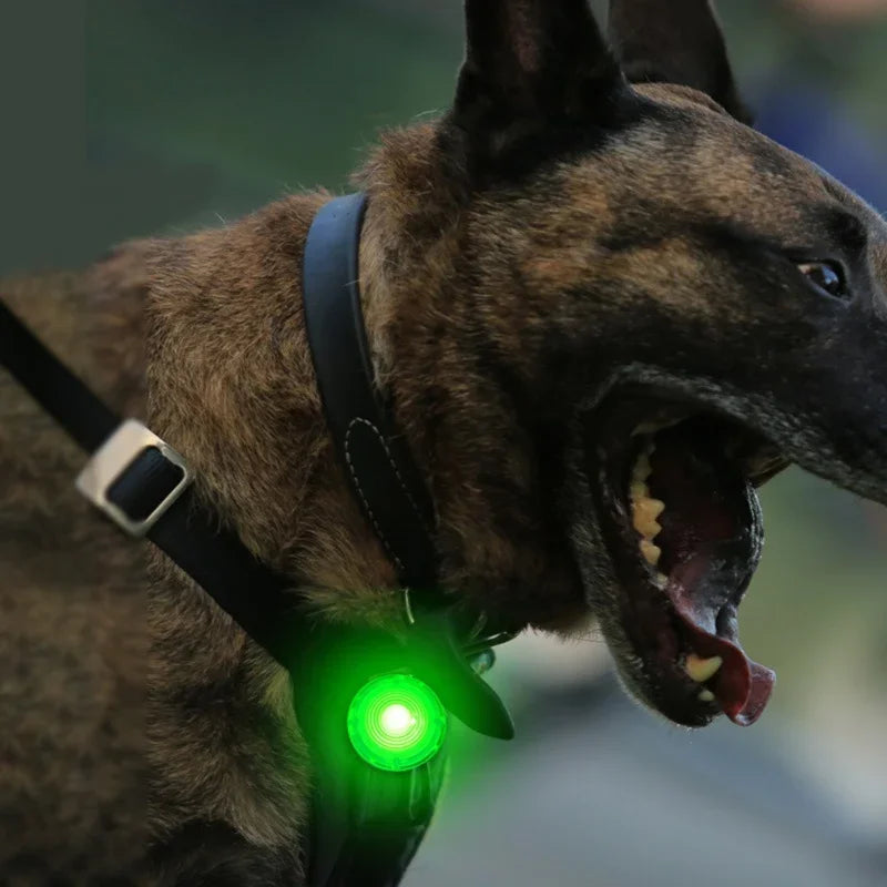 Dog Collar with LED Light Waterproof Dog Cat Pet Safety Harness Leash Necklace Lights for Large Medium Small Dogs at Night