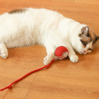 1/2PCS Cat Interactive Ball Toy Automatic Rolling Ball Faux Tail Rechargeable Smart Pet Electric Dog Cat Training Imitate Mouse