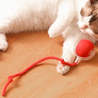 Interactive Cat Toys Ball Auto Electric Rolling Ball Toys for Cats/Kitty Pets Smart Automatic Teaser USB Rechargeable