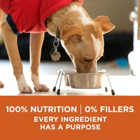 Healthy Weight Dog Food, Dry Formula, Feed Feeding, Dogs Snacks Supplies, Pet Products, Home Garden, Free Shipping