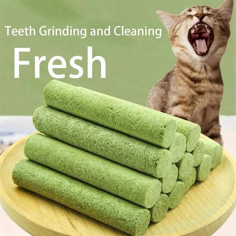 Cat Grass Stick Cat Grass Chewing Stick Natural Teeth Cleaner Removal Row Kitten Pet Snacks Teeth Caring for Kitten Mouth Health