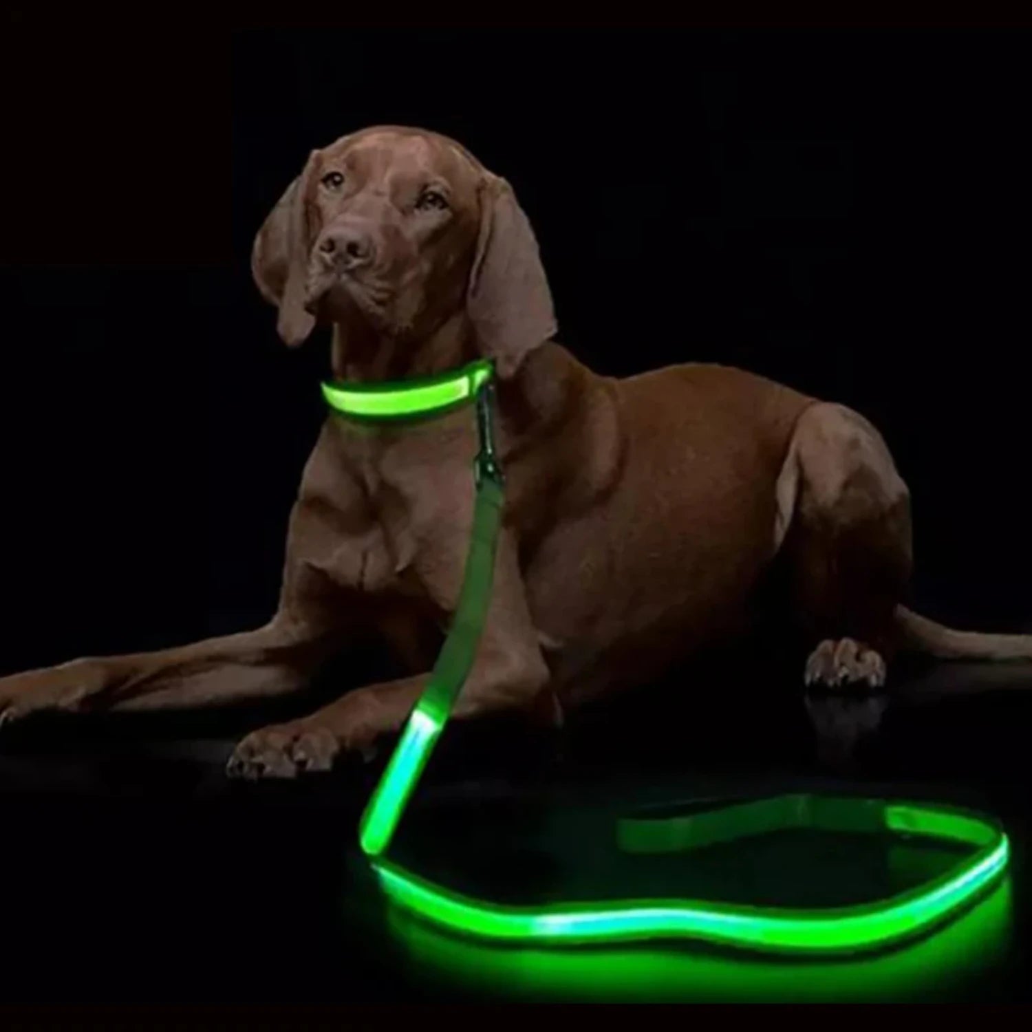 LED Light  Dog Leash Luminous Rope Lead Leash  Dog Safety Flashing Glowing Dog Collar Harness Electronic Pet Accessories Cat tag