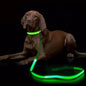 LED Light  Dog Leash Luminous Rope Lead Leash  Dog Safety Flashing Glowing Dog Collar Harness Electronic Pet Accessories Cat tag