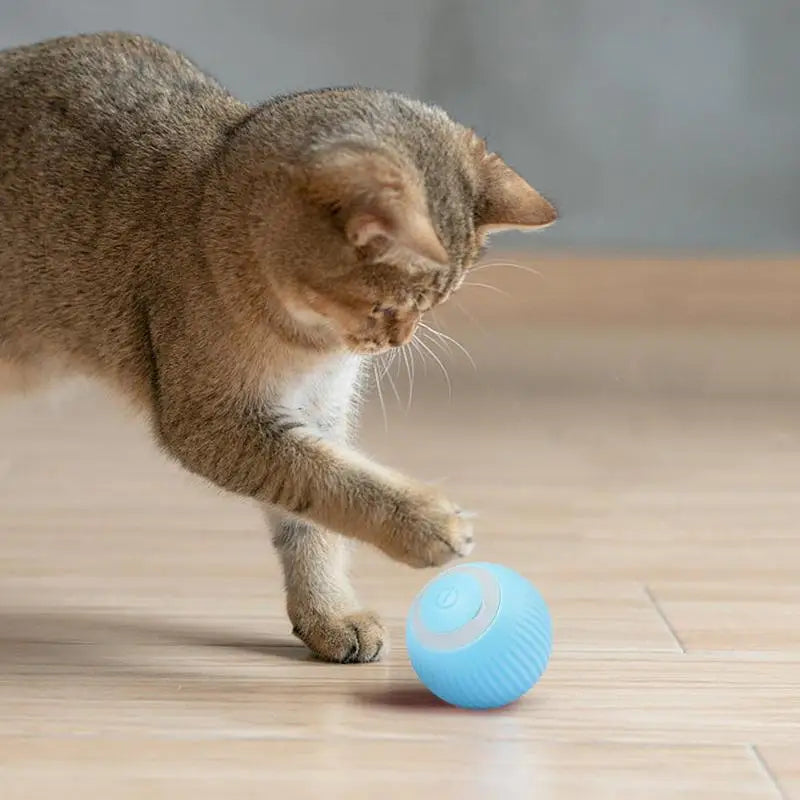 Smart Cat Rolling Ball Toys Rechargeable Cat Toys Ball Motion Ball Self-moving Kitten Toys for Indoor Interactive Playing