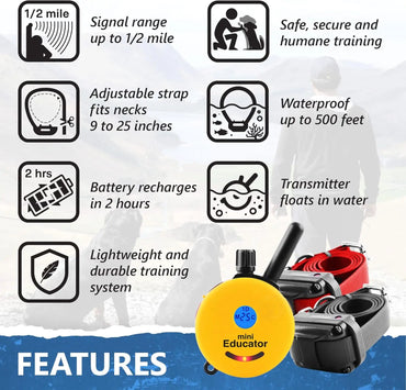 Rechargeable Dog Trainer with Remote for Small, Medium, and Large Dogs by E-Collar Technol