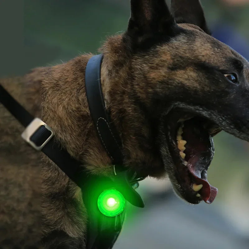 LED Dogs Collar Glow in The Dark Dogs Collar Harness Pendant Waterproof Safety Night Walking Lights