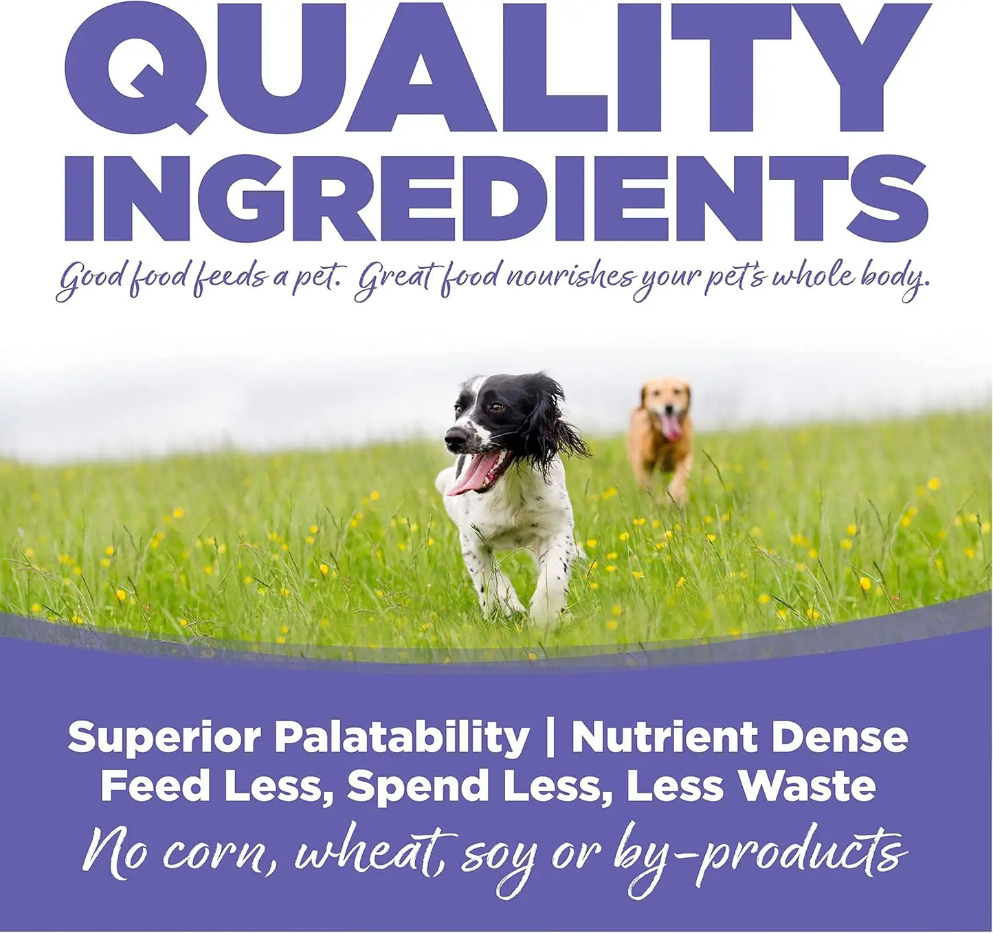 NutriSource Puppy Food for Small and Medium Breeds, Chicken Meal and Rice, 26LB