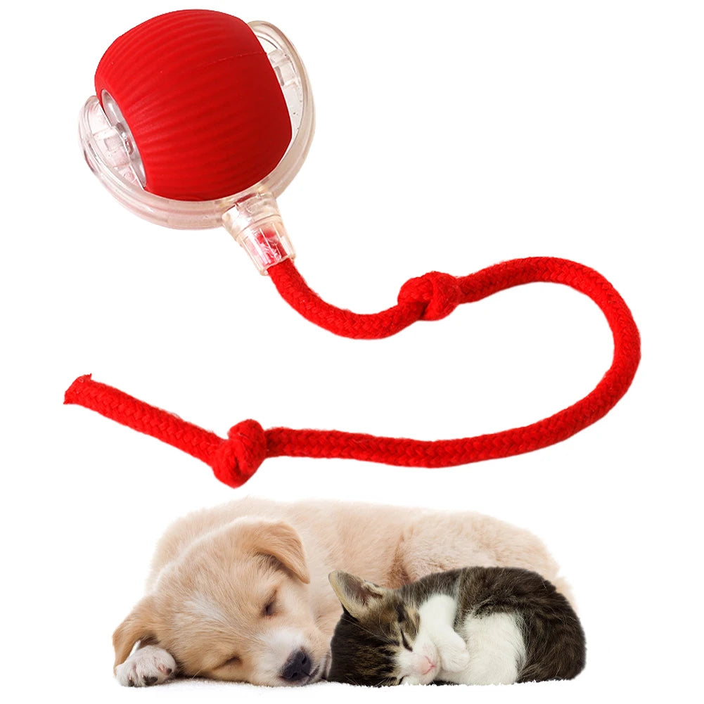 1PCS Cat Interactive Ball Toys Electric Automatic Rolling Ball Toys Rechargeable Self Rotating Ball Anti-Depression Pet Toy 2024