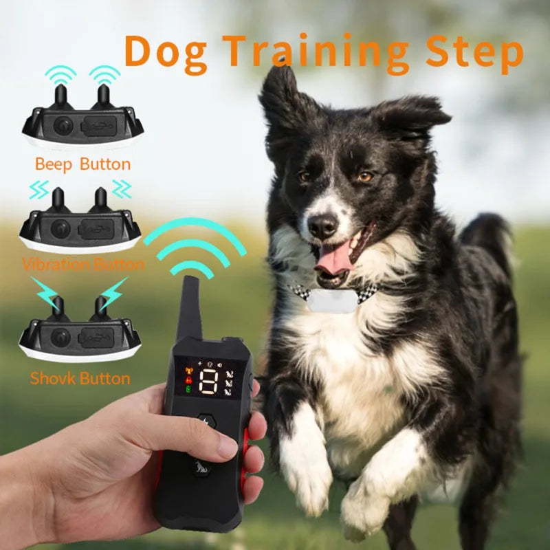 800m Rechargeable Dog Training Collar Electric Pet Remote Control Bark Proof Collars Waterproof for Dogs Vibration Sound Shock